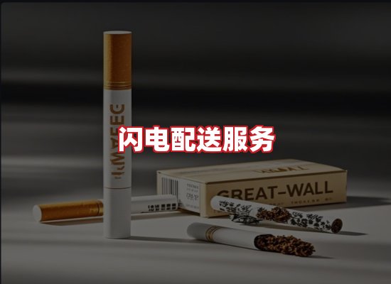 专业团队